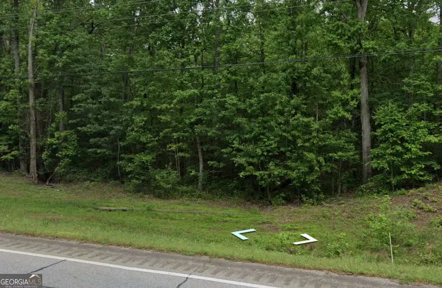 0 North 16 Highway, Whitesburg, GA 30185 - Image #3