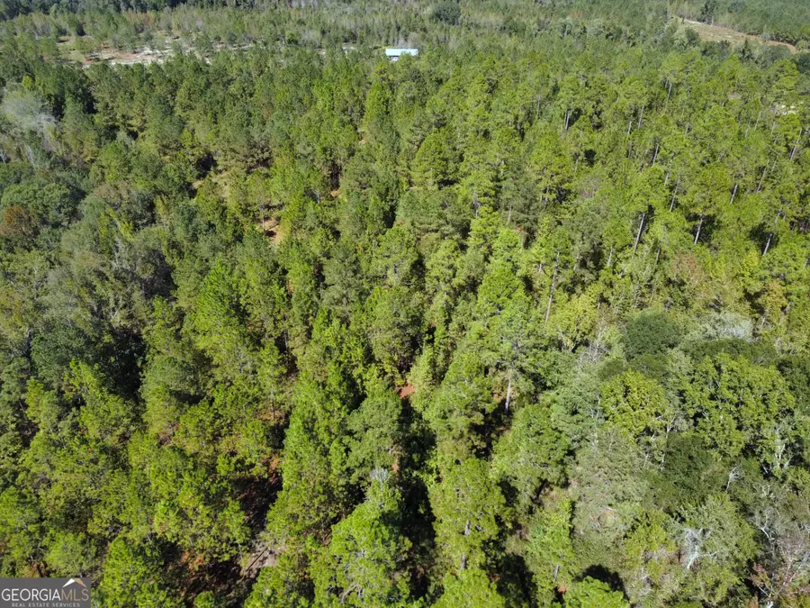 843 Daniel Mimbs Road, East Dublin, GA 31027 - Image #2