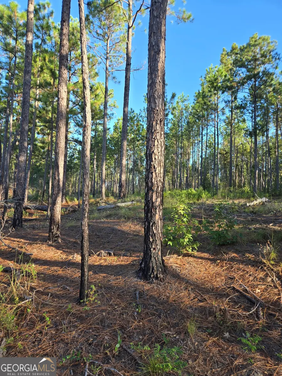 600 Alton Lawson Road, Adrian, GA 31002 - Image #3