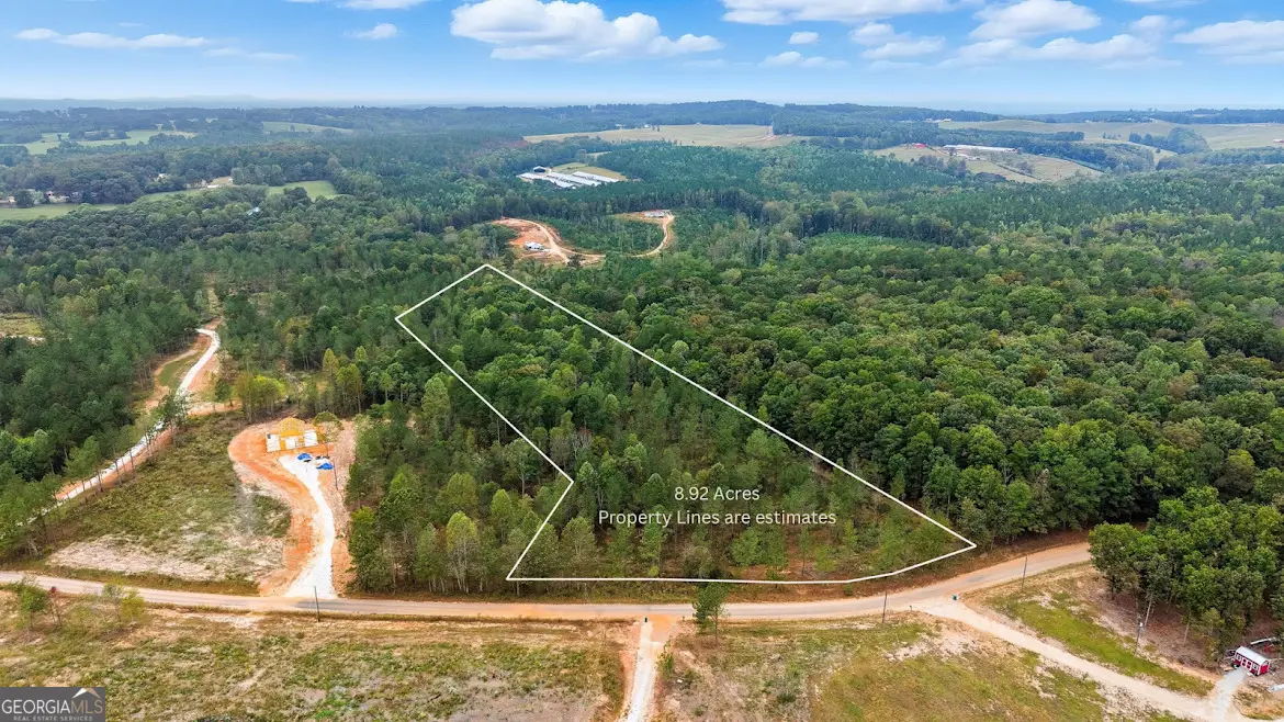 0 County Road 689, Ranburne, AL 36273 - Image #1
