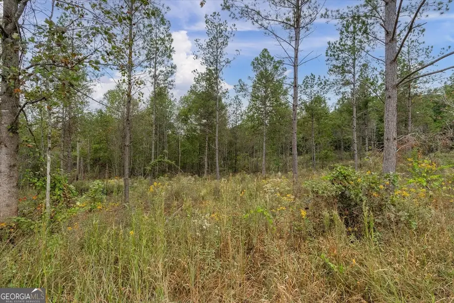 0 County Road 689, Ranburne, AL 36273 - Image #3