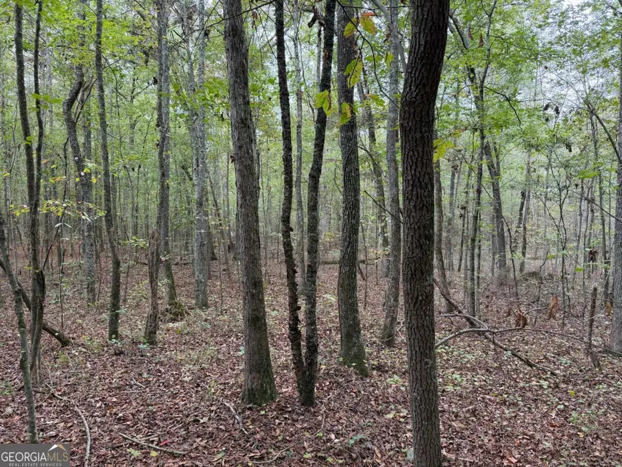 0 Colquitt Road, Cedartown, GA 30125 - Image #2