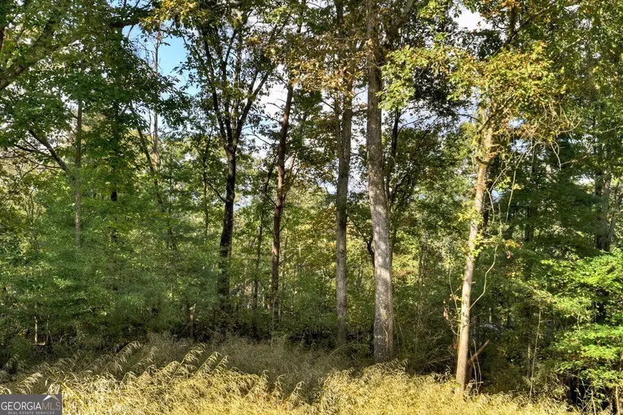 216 Pleasant Gap Road, Ellijay, GA 30540 - Image #2