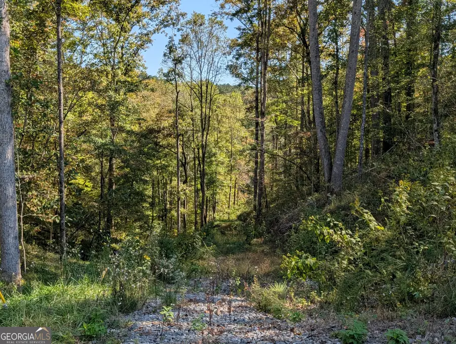 LOT 296 Pebble Trace, Talking Rock, GA 30175 - Image #2
