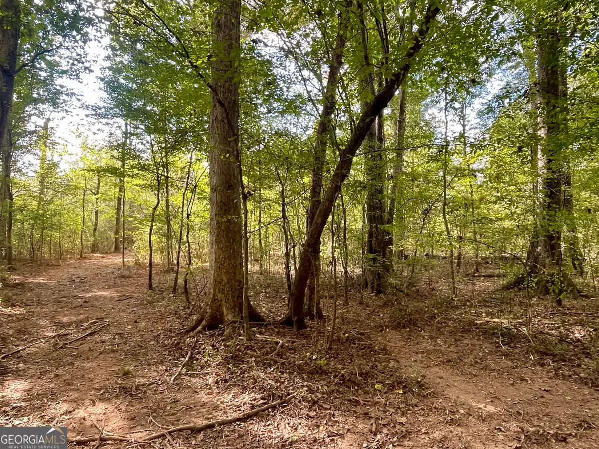 0 Buffalo Creek Road, Carrollton, GA 30117 - Image #1