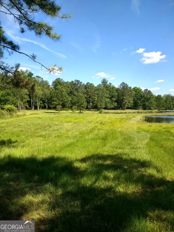 680 Porters Landing Road, Clyo, GA 31303