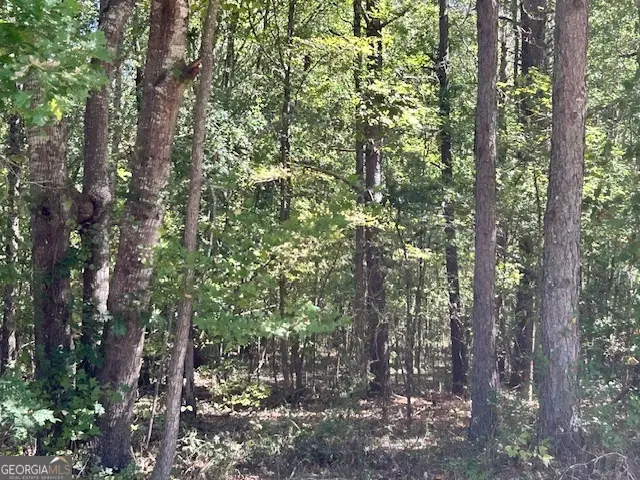 L-2 Smyrna Church Road, Molena, GA 30258 - Image #2