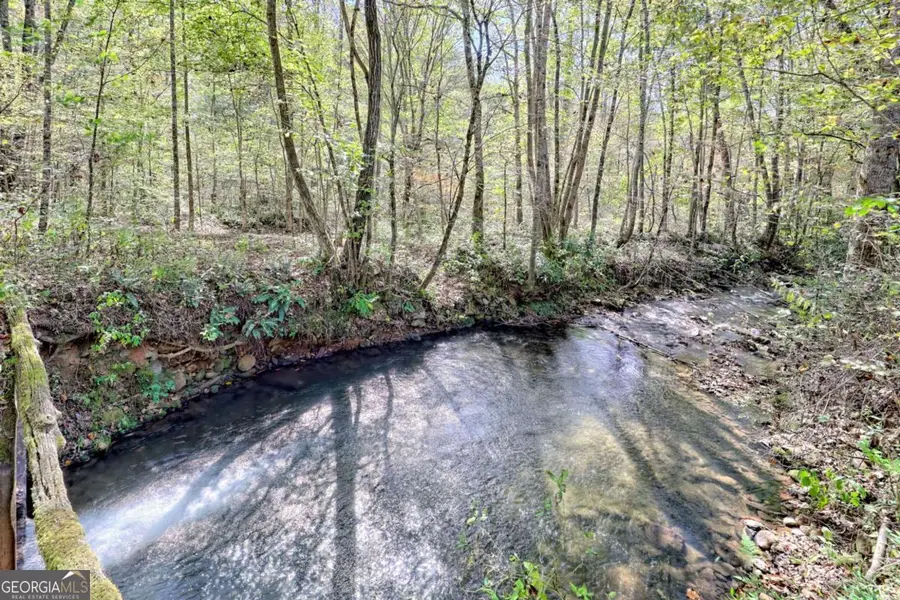 1064 Muskrat Creek Road, Hayesville, NC 28904 - Image #3