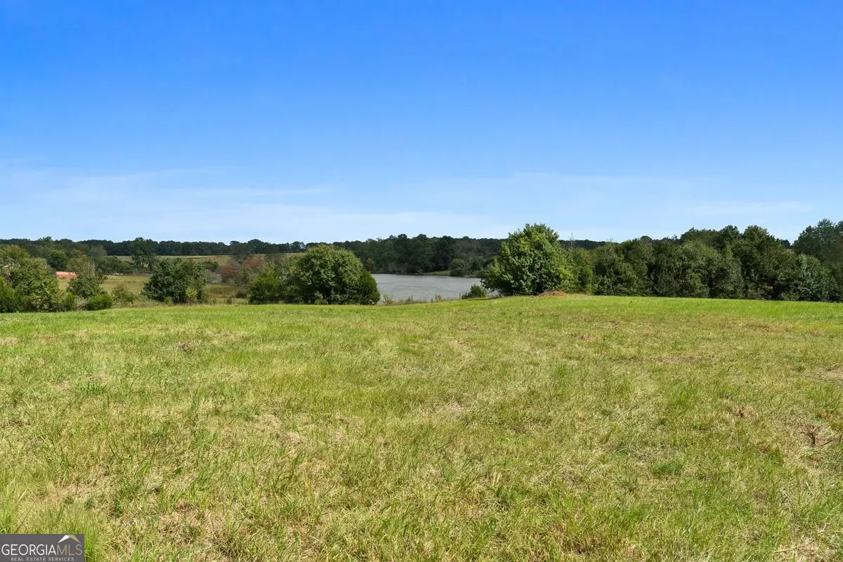 61 ACRES Barnesville Highway, The Rock, GA 30285 - Image #1