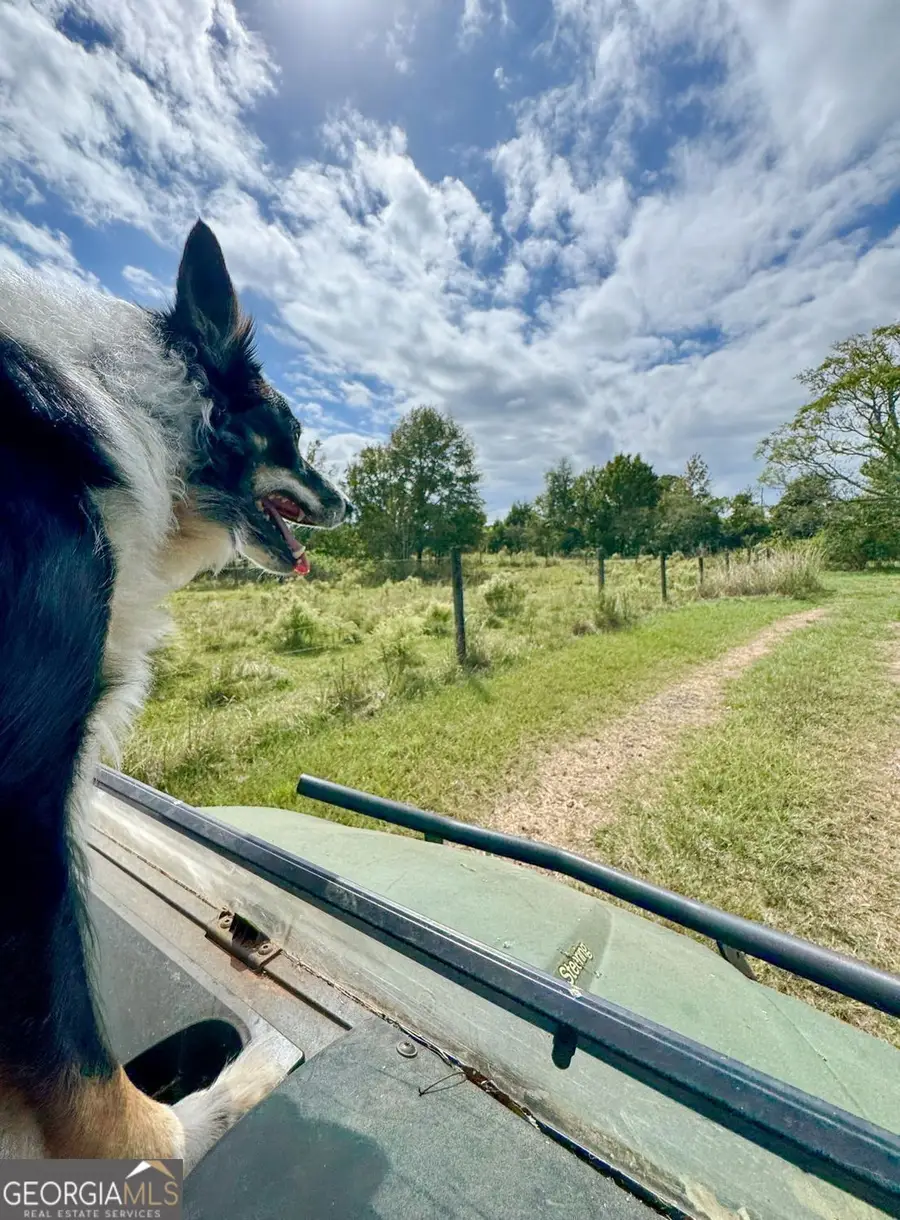 61 ACRES Barnesville Highway, The Rock, GA 30285 - Image #3