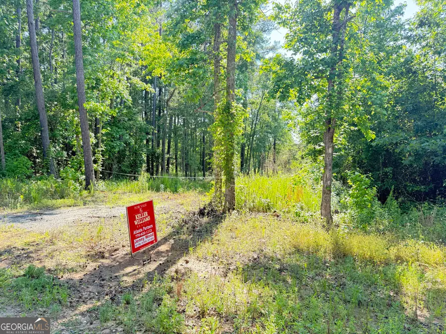 0 Perkins Road, Barnesville, GA 30204 - Image #2