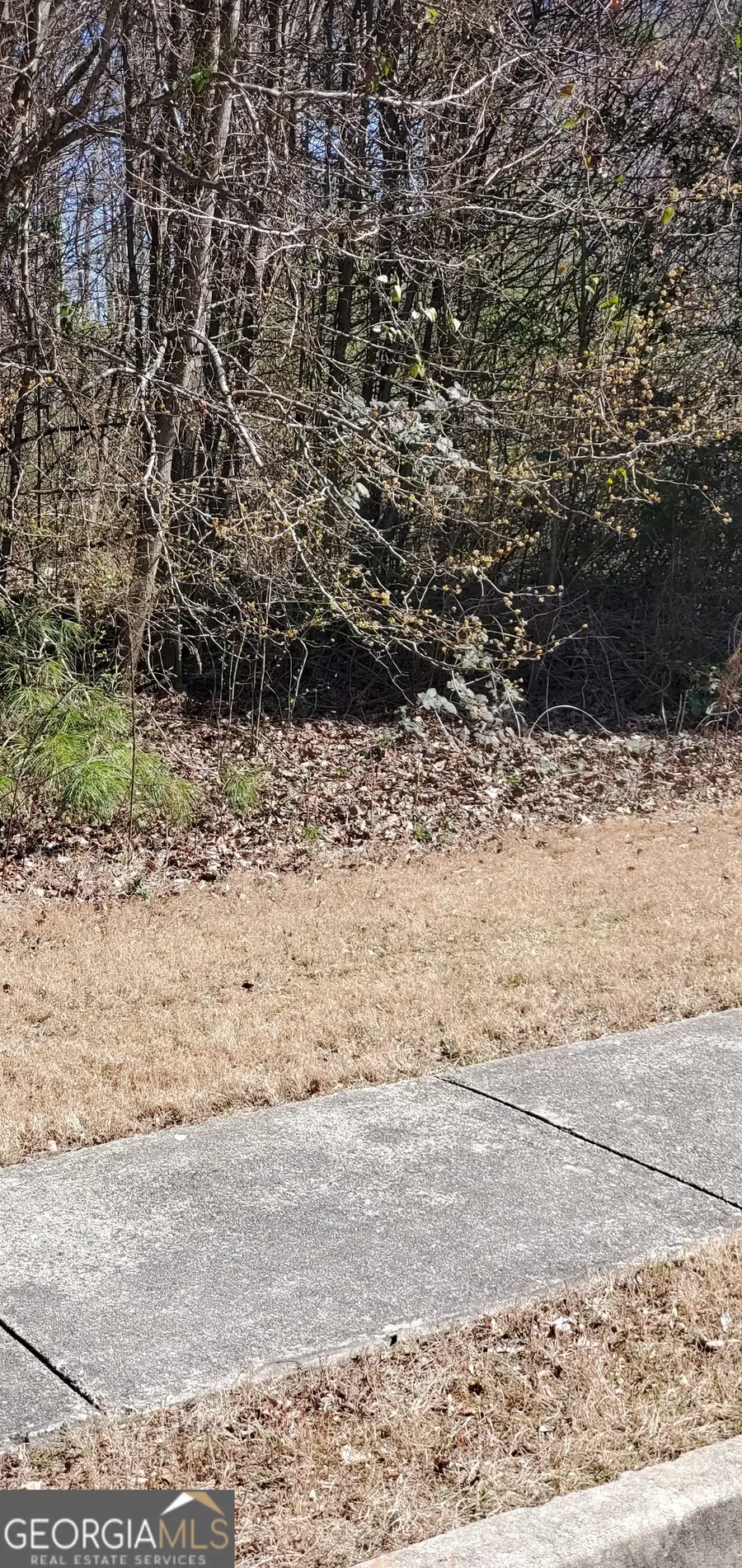 3452 Tiffany Cove Drive, Loganville, GA 30052 - Image #2