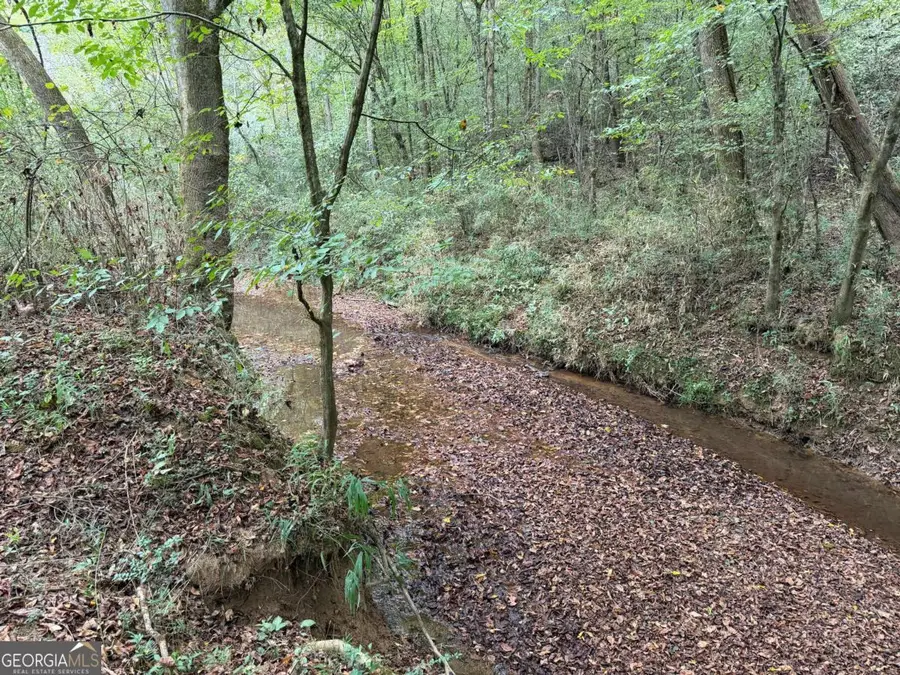 0 County Road 60, Heflin, AL 36264 - Image #3