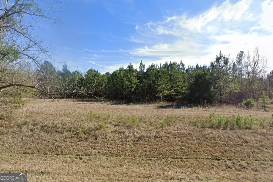 239 Canton Road, Danville, GA 31017 - Image #3