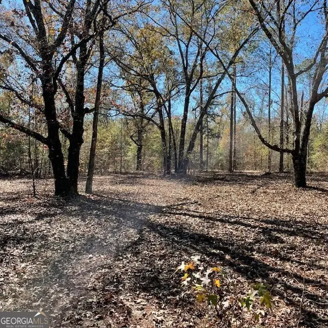 LOT A Pineville Road #100+/- ACRES, Buena Vista, GA 31803 - Image #2