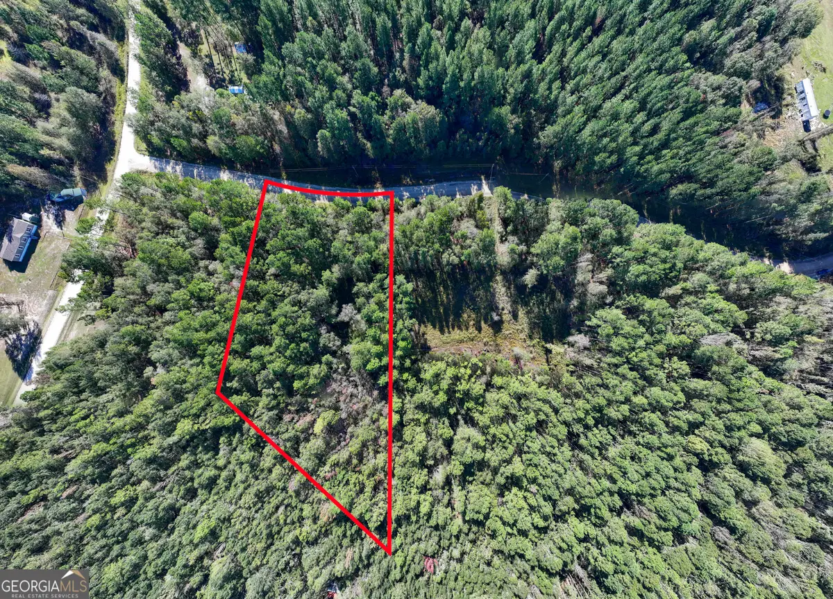 2.73 ACRES Gillespie Road #4, Millen, GA 30442 - Image #1