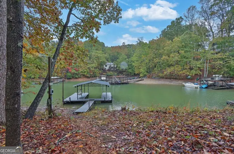 9780 Kings Road, Gainesville, GA 30506 - Image #3