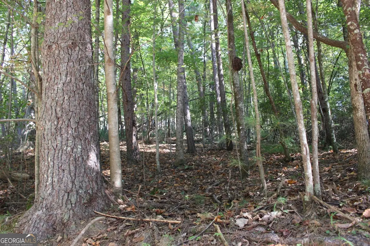 LOT 546 Satsuma North Court, Ellijay, GA 30540 - #1