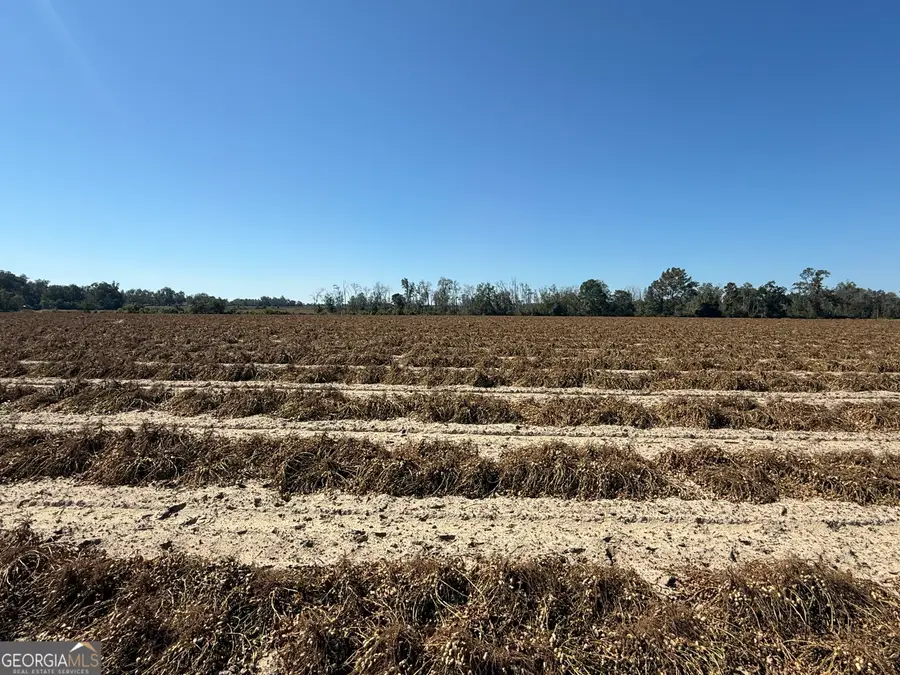 0 Blankenbaker Road #PARCEL 2, Statesboro, GA 30458 - Image #2