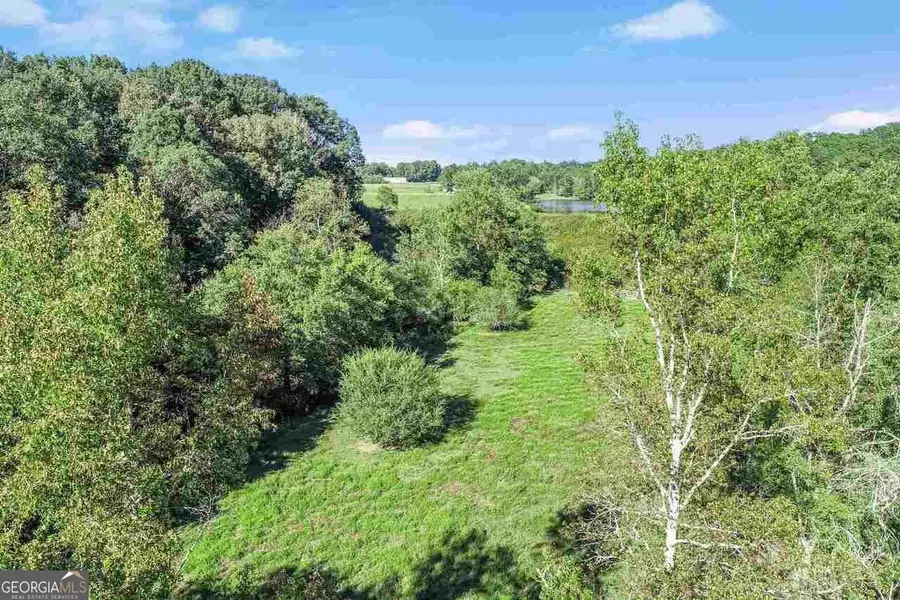 1340 441 Express Way, Mount Airy, GA 30563 - Image #3