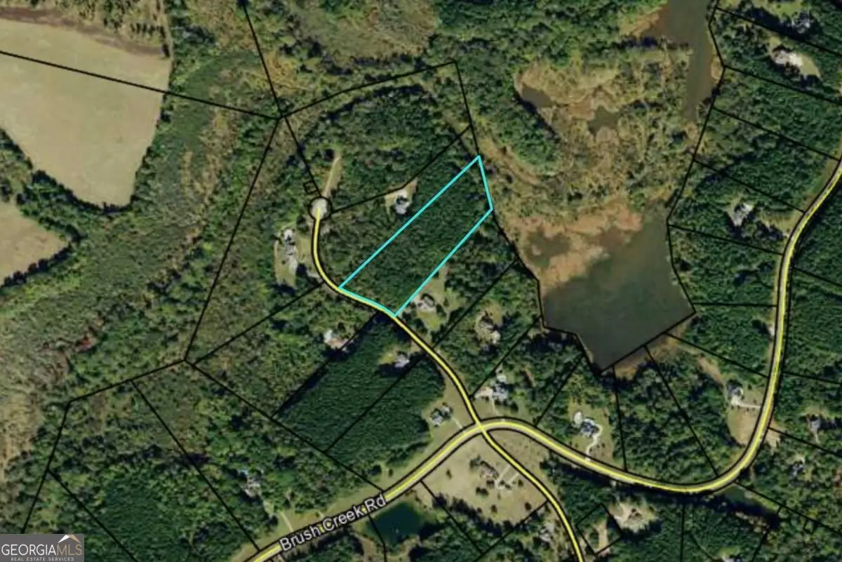 0 Kincaid Cemetery Road, Colbert, GA 30628 - Image #1