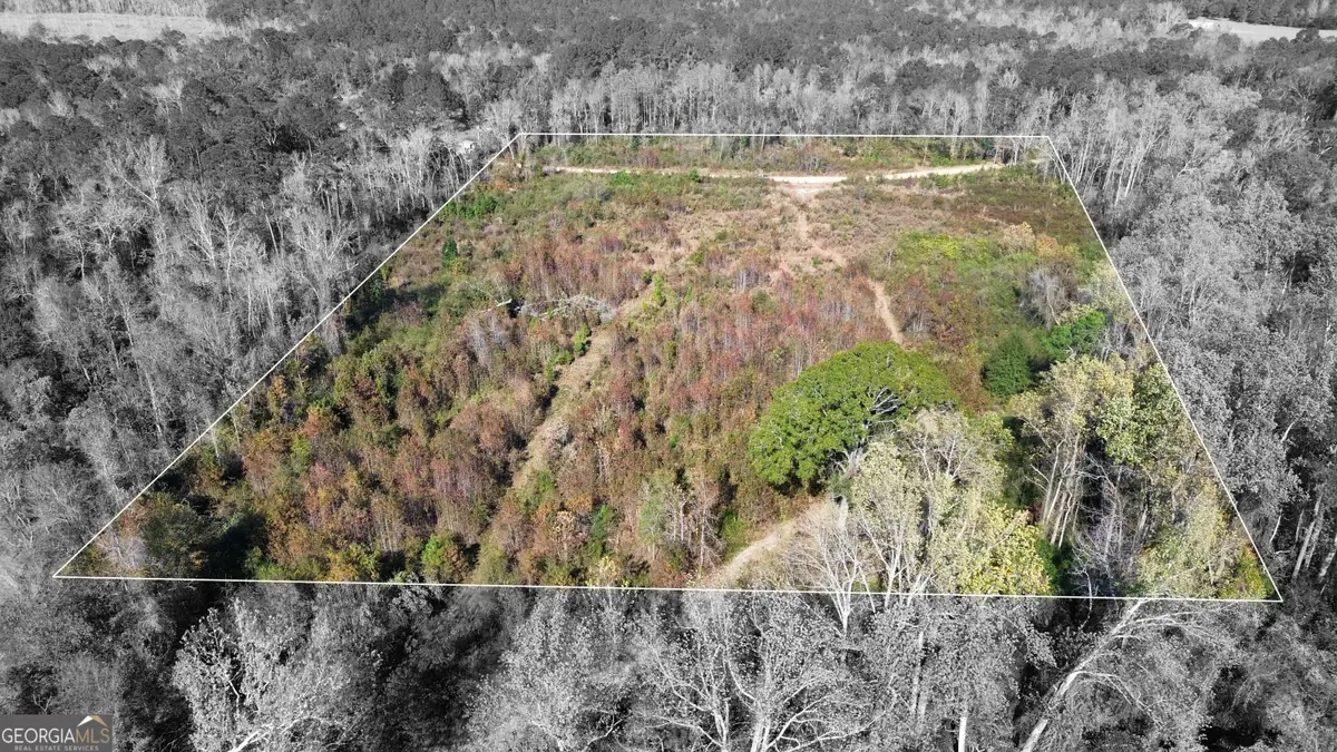 0 George Strickland Road, Claxton, GA 30417 - Image #1