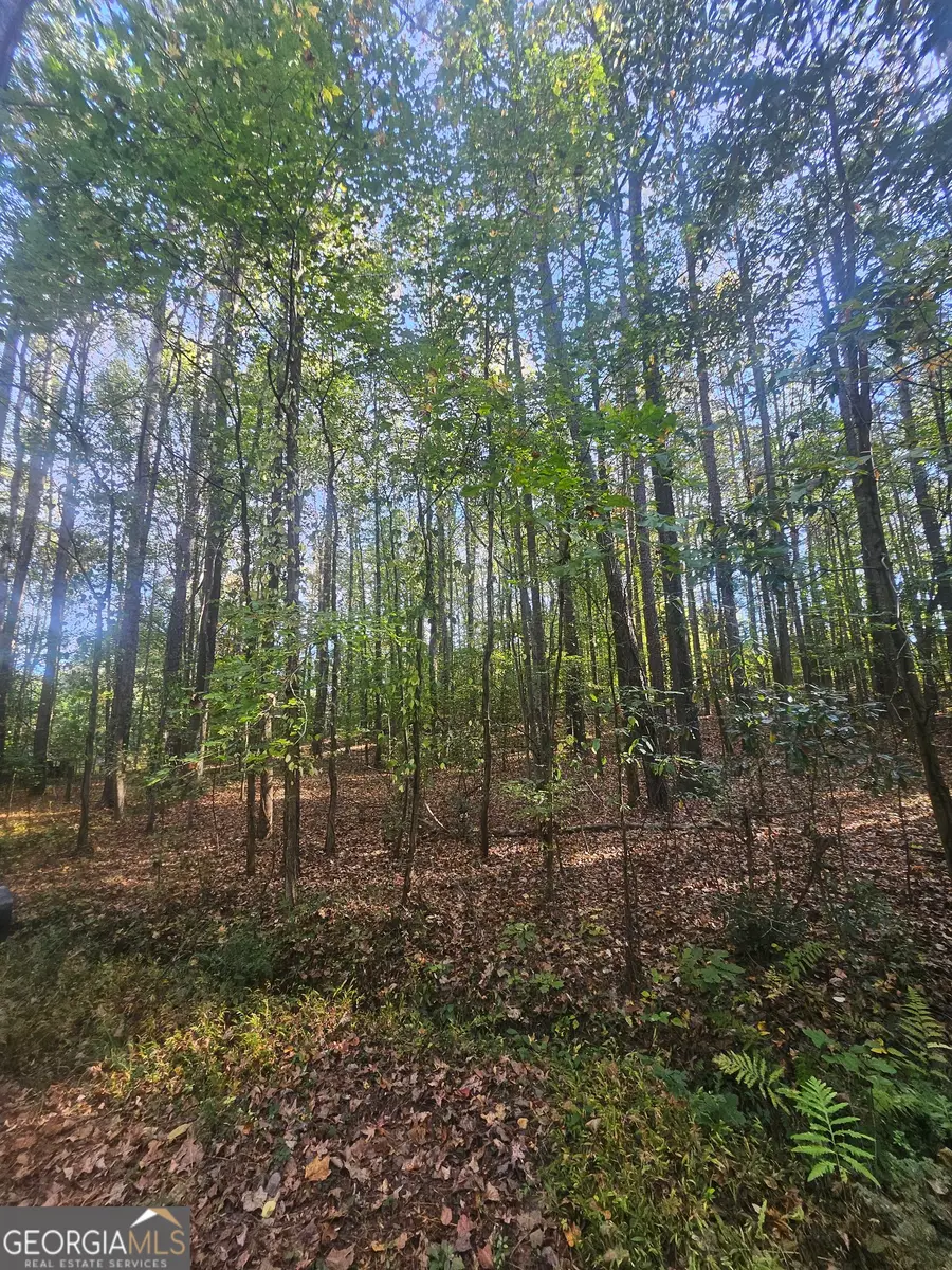 4861 Moon Road, Powder Springs, GA 30127 - Image #3