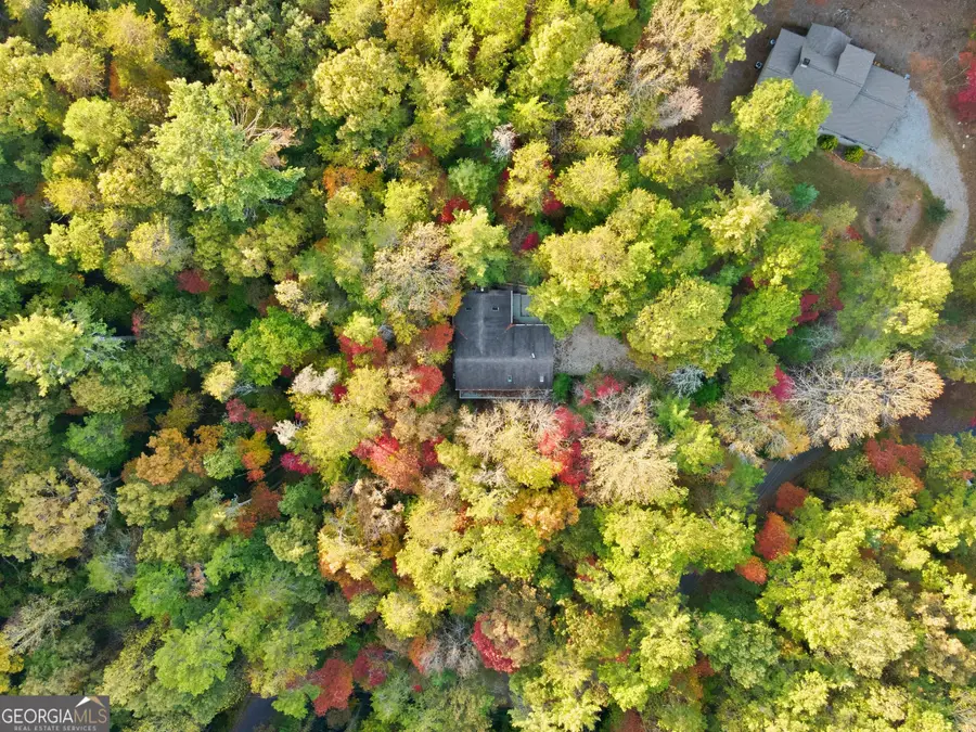 1546 Woodbrier, Sautee Nacoochee, GA 30571 - Image #2