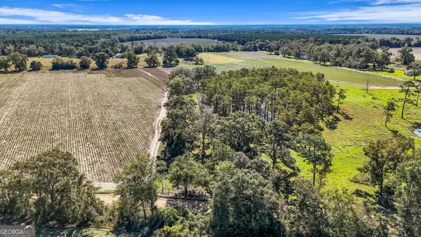 0 B J Clifton Road, Statesboro, GA 30461