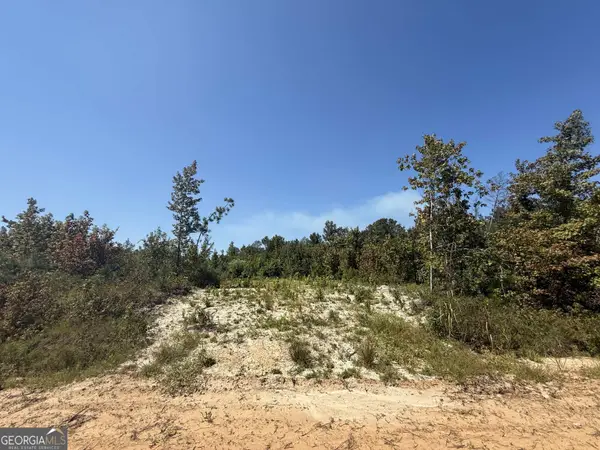 467 Alton Stewart, East Dublin, GA 31027