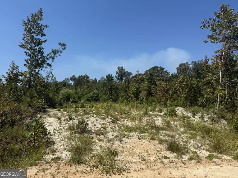 467 Alton Stewart, East Dublin, GA 31027 - Image #3