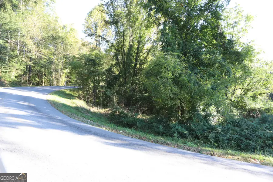 0 Dry Valley Road, Summerville, GA 30747 - Image #2