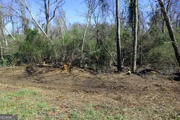 LT.1 Harrison Davisboro Road #1, Davisboro, GA 31018