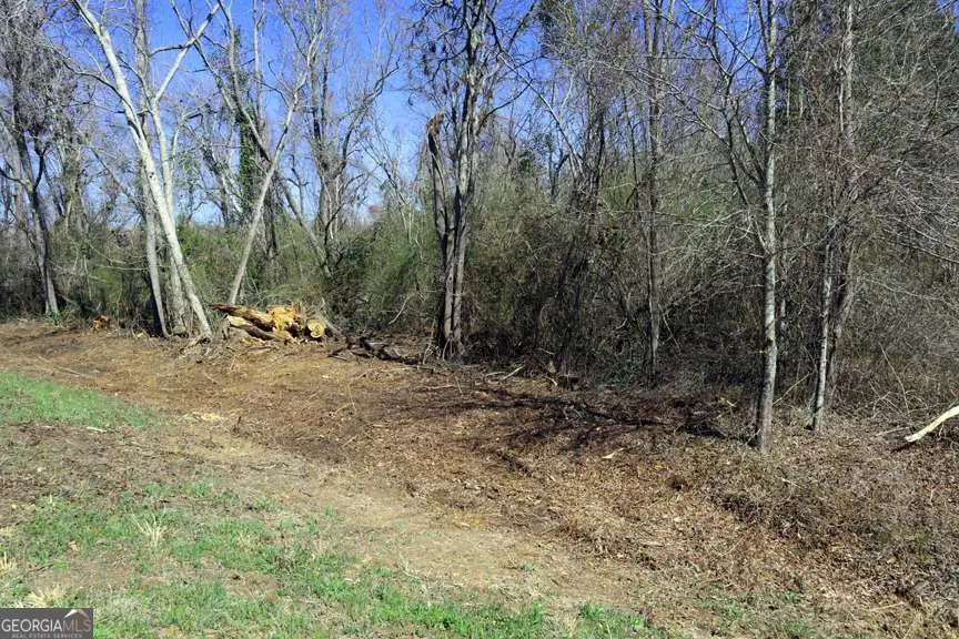 LT.1 Harrison Davisboro Road #1, Davisboro, GA 31018 - Image #2