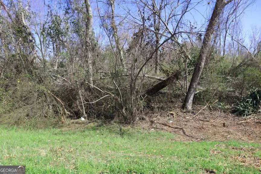 LT.1 Harrison Davisboro Road #1, Davisboro, GA 31018 - Image #3