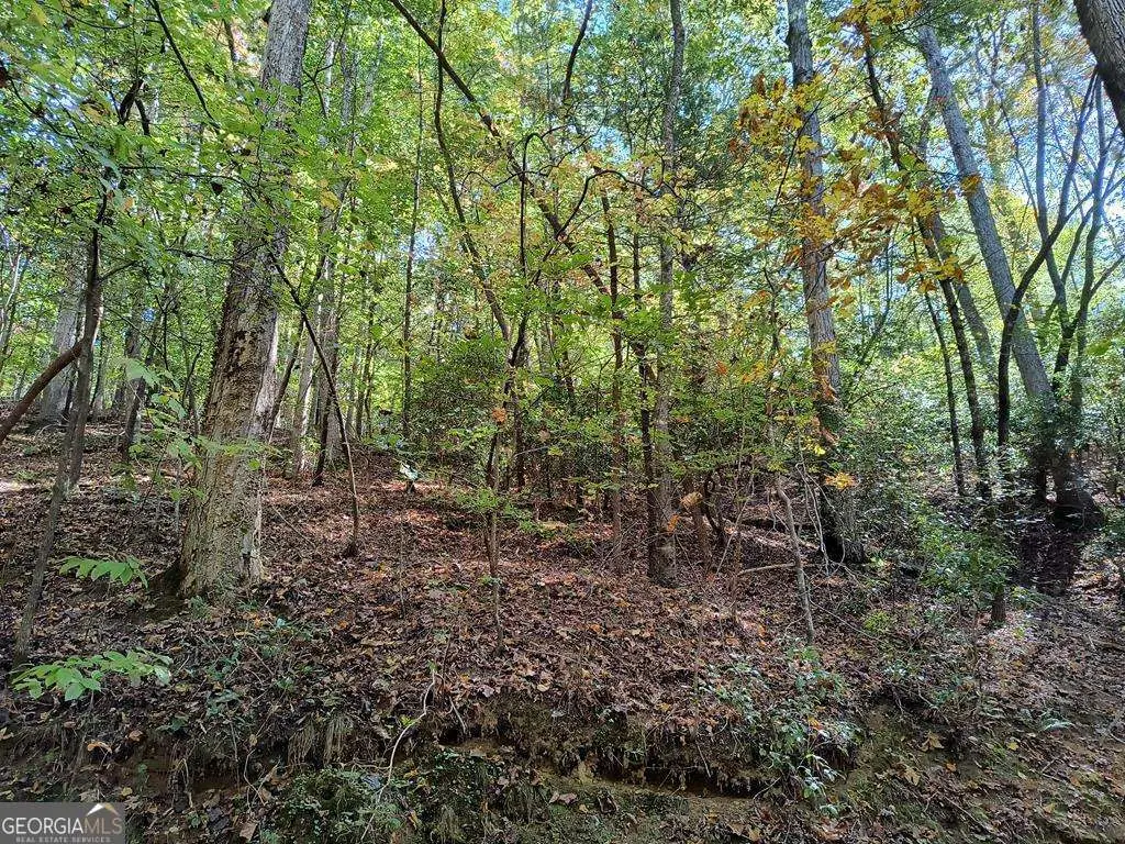 LOT 334 Cold Stream Court #334, Ellijay, GA 30540 - Image #1