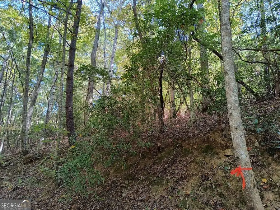 LOT 334 Cold Stream Court #334, Ellijay, GA 30540 - Image #2