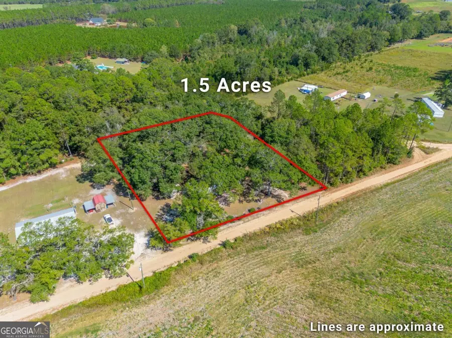 6162 Griner Road, Patterson, GA 31557 - Image #2