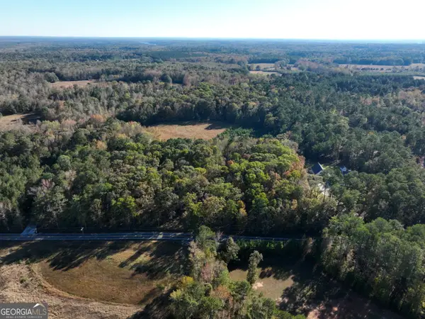 BETWEEN 366 & 4 Antioch Road, Fayetteville, GA 30215