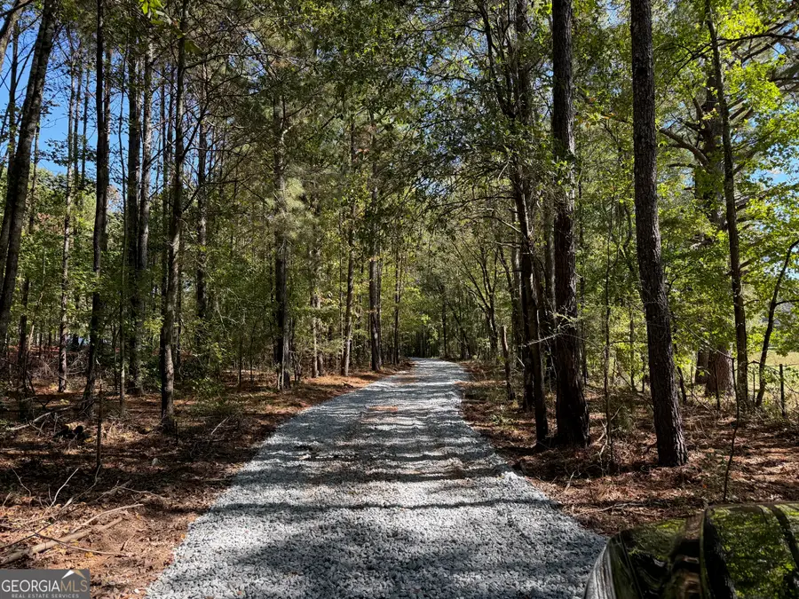 6.5 ACRES Williams Mill Road, Zebulon, GA 30295 - Image #2