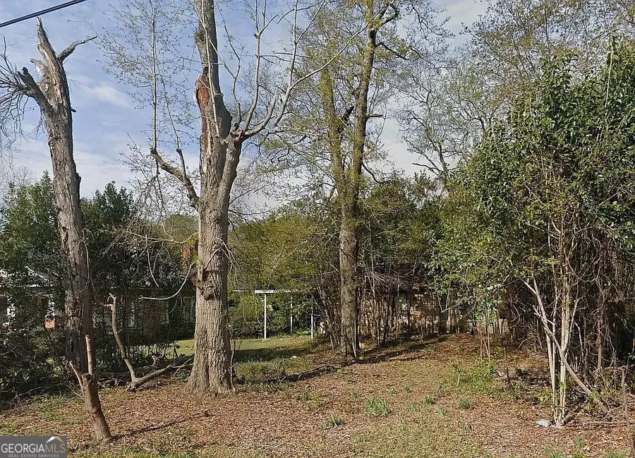 1055 Lamont Street, Macon, GA 31204 - Image #2