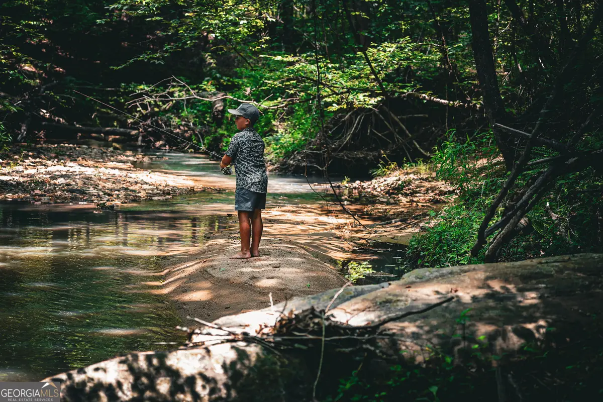 0 County Line Road, Talbotton, GA 31827 - Image #1