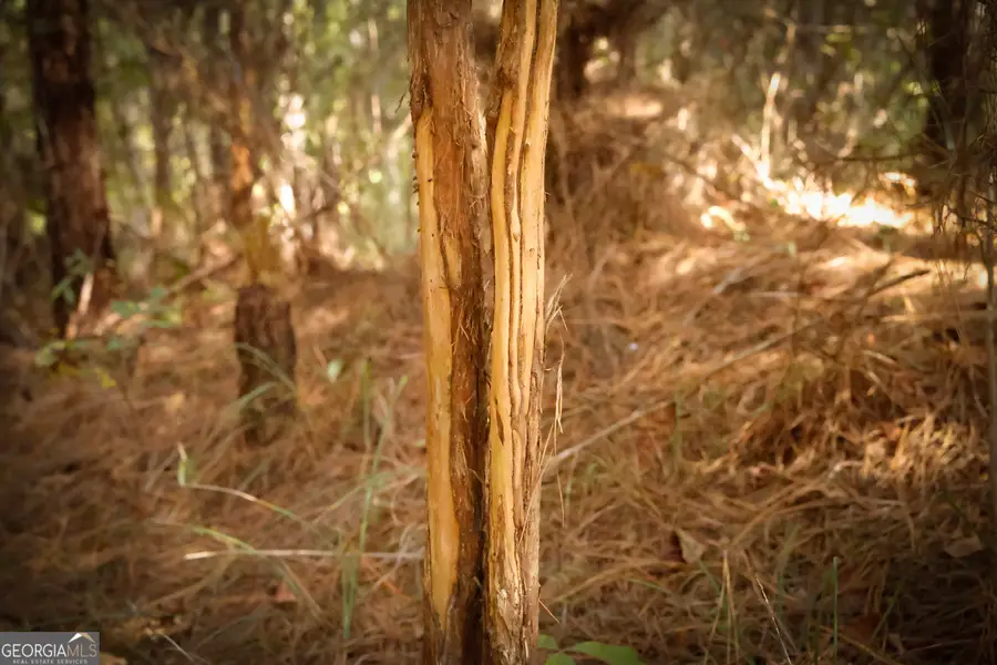 0 County Line Road, Talbotton, GA 31827 - Image #3