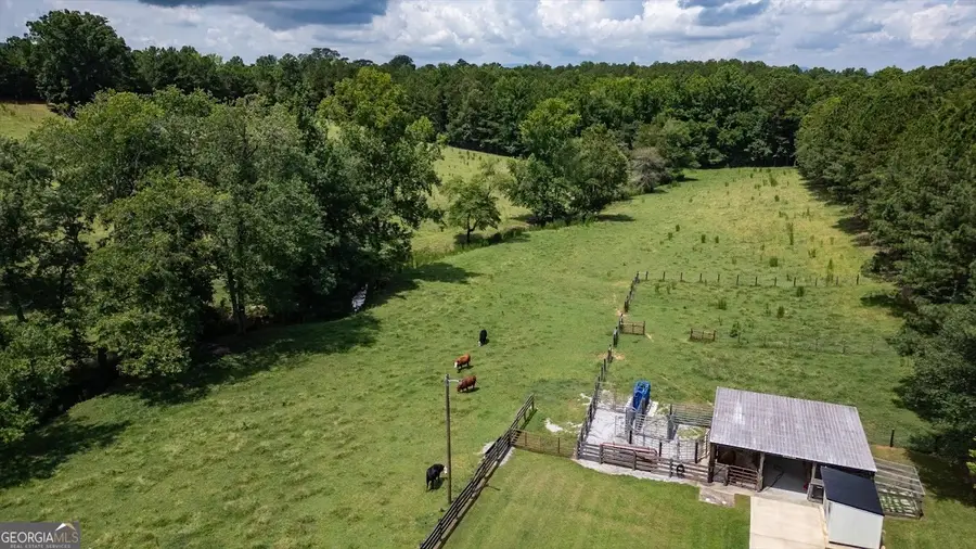 0 County Road 19, Heflin, AL 36264 - Image #2