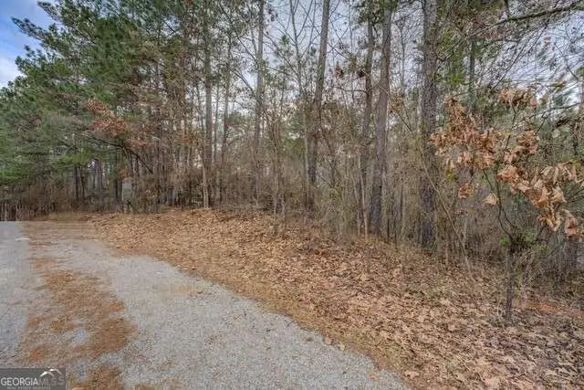 0 Goldeneye Court #LOT 90, Monticello, GA 31064 - Image #2