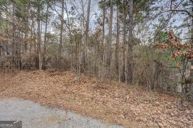 0 Goldeneye Court #LOT 90, Monticello, GA 31064 - Image #3