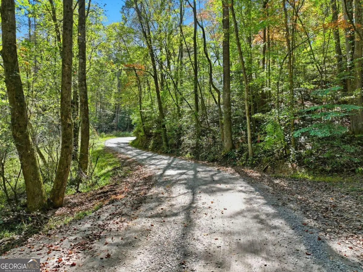0 Tanglewood Lane, Ellijay, GA 30540 - #1