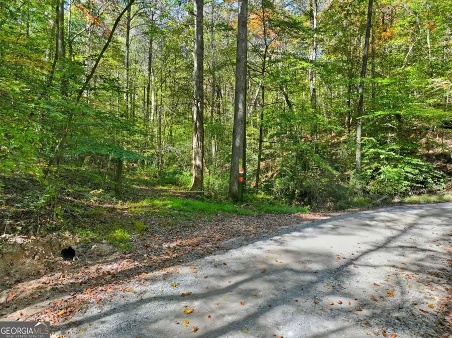 0 Tanglewood Lane, Ellijay, GA 30540 - #2