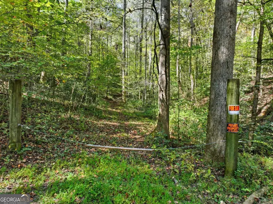 0 Tanglewood Lane, Ellijay, GA 30540 - #3