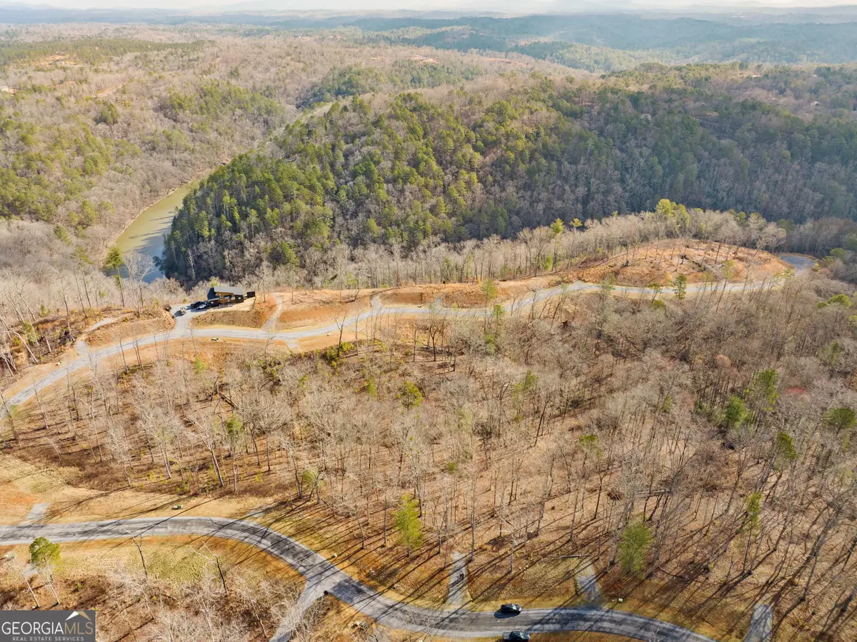 LOT 33 S Jakes Landing Way, Ellijay, GA 30540 - #1